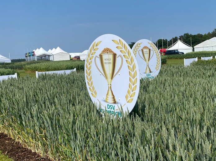 https://www.dsv-uk.co.uk/UK/news/arable-news/2026/22498/image-thumb__22498__customteaser/Champion~-~media--df42eb16--query@2x.35a528ad.jpg